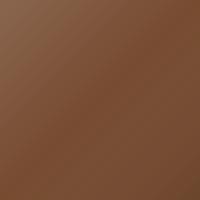 Ford Universal (1990-Present) Ausbesserungslack – BEIGEBRAUN (Farbcode HPS)