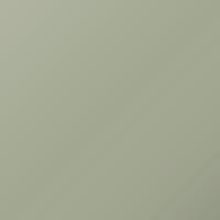 Ford Focus (2009-2011) Touch Up Paint - NATURAL NEUTRAL (Code UR)