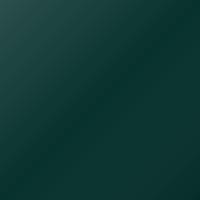 Ford Universal (1999-2004) Ausbesserungslack – AMAZON GREEN (Farbcode PE8E)