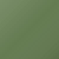 Ford Universal Vernice per ritocco - RESEDA GREEN RG/SVO204 (RGS)