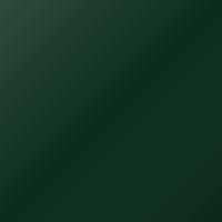 Vernice per ritocco Ford Universal (1998-2002) – HENLEY GREEN (Codice SBWA)