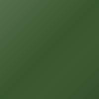 Ford Ranger (1999-1999) Touch Up Paint - JALAPENO GREEN (Code SV)