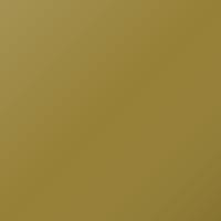 Ford Universal (1987-1994) Ausbesserungslack – LEMON YELLOW (Farbcode ANS)