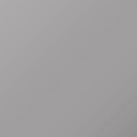 Gm Universal (2000-2004) Pintura de retoque - WA454G LIGHT SILVER (13)