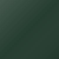 Gm Universal Pintura de retoque - WA520F FERNMIST GREEN (31/WA520F)