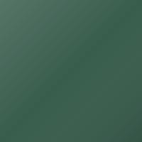 Gm Universal (1999-2004) Pintura de retoque - 36 FERN GREEN (36/WA587F)