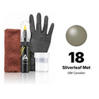 Touch-up paint for GM Cavalier 18 Silverleaf Met, Complete kit