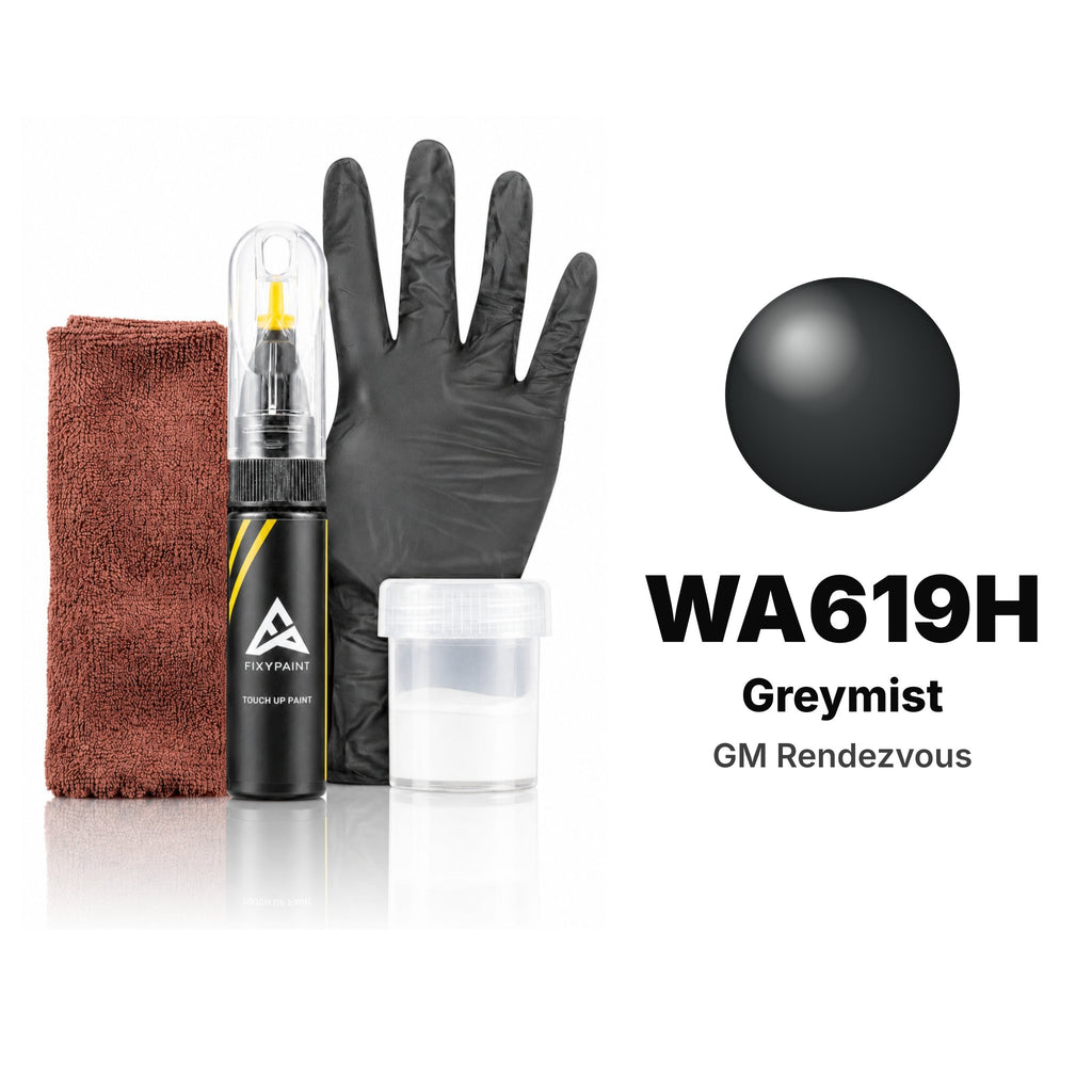 Touch-up paint for GM Rendezvous WA619H Greymist, Complete kit