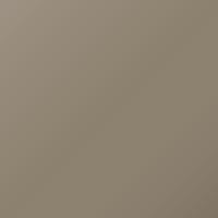 Pintura de retoque Gm Universal (2021-Present) – CANTEEN - 1 (Código WA255F)