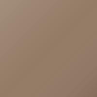 Gm Universal Pintura de retoque - CHAMPAGNE GOLD WHEEL ENAMEL (WT3)