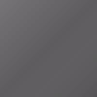 Great Wall Motors Universal Vernice per ritocco - DESERT SILVER (1103B)