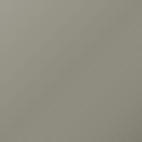 Great Wall Motors Steed Touch Up Paint - CHAMPAGNE SILVER (1102B)