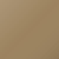Pintura de retoque Honda Universal (2006-Present) – GOLD (Código YR248M)