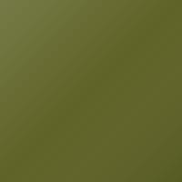 Peinture de retouche Hyundai Elantra (2024-2024) – EXOTIC GREEN (Code N4R)