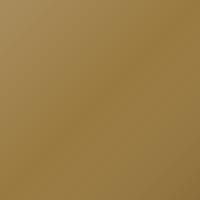 Peinture de retouche Isuzu Universal (1990-1990) – GOLD (Code 010)