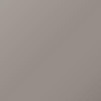 Isuzu Universal (2001-2004) Ausbesserungslack – BLOND GRAY (Farbcode 704)