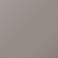Isuzu Universal (2000-2004) Touch Up Paint - FAWN (Code U017)