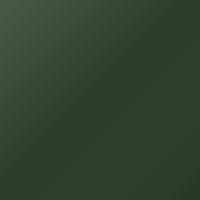 Iveco Universal Standard (2004-Present) Ausbesserungslack – GREEN CAMBRIDGE (Farbcode 509)