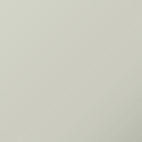Peinture de retouche Iveco Universal Standard (1977-Present) – BIANCO ASTRA (Code 030)