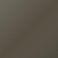 Jaguar Universal Vernice per ritocco - CARBON BRONZE MATTE (BCH)