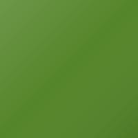 Vernice per ritocco Kawasaki Universal (2007-Present) – CANDY LIME GREEN (Codice 17P)