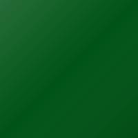 Vernice per ritocco Kawasaki Universal (2017-Present) – NEW CANDY GREEN (Codice 60R)
