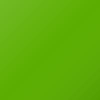 Kawasaki Universal (2019-Present) Vernice per ritocco - LIME GREEN (777)