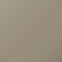 Kia Cerato (2009-2009) Touch Up Paint - CHAMPAGNE GOLD (Code N1)
