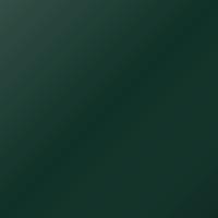 Lada Universal (1997-2000) Ausbesserungslack – GREEN GARDEN (Farbcode 307)