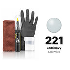 Touch-up paint for Lada Priora 221 Lednikovy, Complete kit