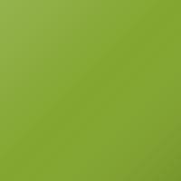 Pintura de retoque Lada Vesta (2016-2018) – LIME (Código 366)
