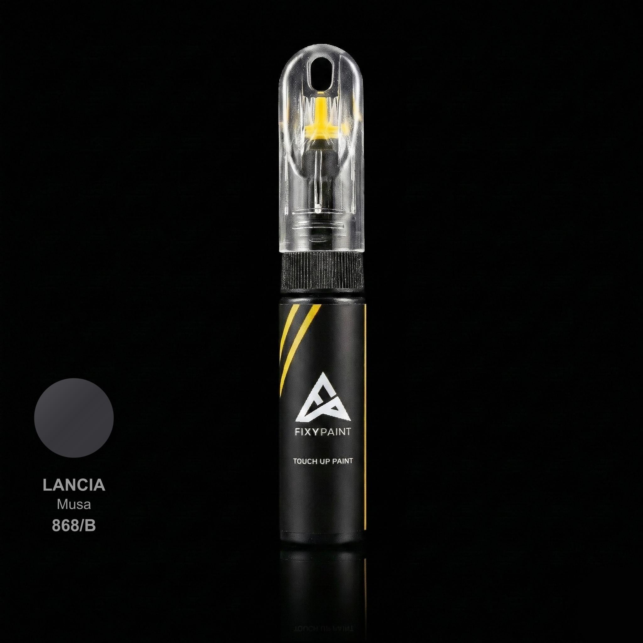 Lancia Musa touch up paint kit - GRIGIO MEDIO 868/B scratch repair