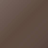 Pintura de retoque Lexus Rx (2005-2005) – LIGHT BROWN (Código 4S5)