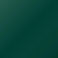 Vernice per ritocco Ligier Universal (2002-2002) – VERT PLATINE (Codice P08-3505)