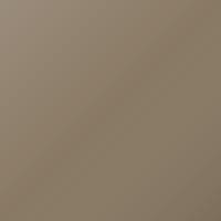 Pintura de retoque Ligier Universal (2003-2003) – SABLE (Código P08-3514)