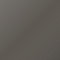 Ligier Universal Vernice per ritocco - GRIS DOLOMITE (P08-3524)