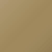 Peinture de retouche Lincoln Navigator (2016-2016) – GOLD (Code SR)