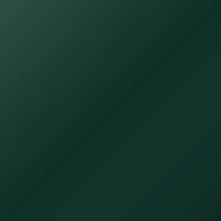 Vernice per ritocco Lotus Universal (2003-2007) – ANNIVERSARY GREEN (Codice B37)
