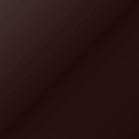 Lotus Universal (1996-2002) Touch Up Paint - CRANBERRY (Code B45)