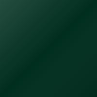 Lotus Universal Peinture de retouche - BRITISH RACING GREEN (C04)