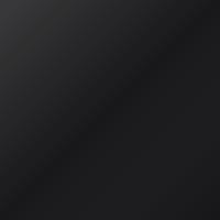 Peinture de retouche Lotus Universal (2017-2017) – METALLIC DARK GREY (Code C213)