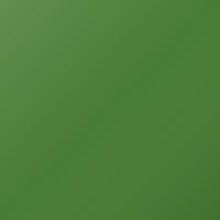 Peinture de retouche Lotus Universal (2018-Present) – VIVID GREEN (Code C215)