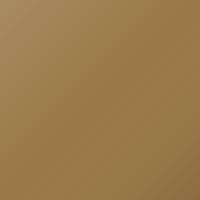 Lotus Universal Peinture de retouche - CHAMPIONSHIP GOLD (C218)
