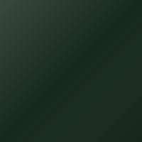 Peinture de retouche Man Universal Standard (1990-Present) – TANNENGRUEN (Code 6009)