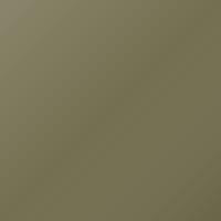 Peinture de retouche Man Universal Standard (1990-Present) – SCHILFGRUEN (Code 6013)