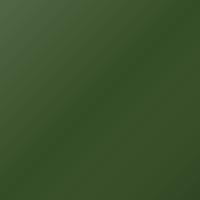 Man Universal Standard (2021-Present) Ausbesserungslack – MAMBAGRUEN (Farbcode 6311)