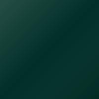 Peinture de retouche Man Universal Standard (2001-Present) – AMAZONA GRUEN (Code 6724)