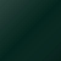 Maserati Shamal (1997-Present) Touch Up Paint - VERDE FORESTA (Code 237378)