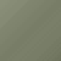 Pintura de retoque Mercury Mariner (2008-2013) – KIWI GREEN (Código NZ)