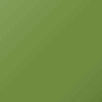 Vernice per ritocco Mg Mg4 Ev (2023-2026) – TRACK GREEN (Codice GCX)